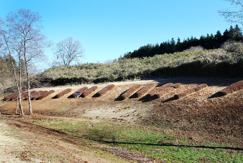 小幡北山埴輪製作遺跡(国指定史跡)