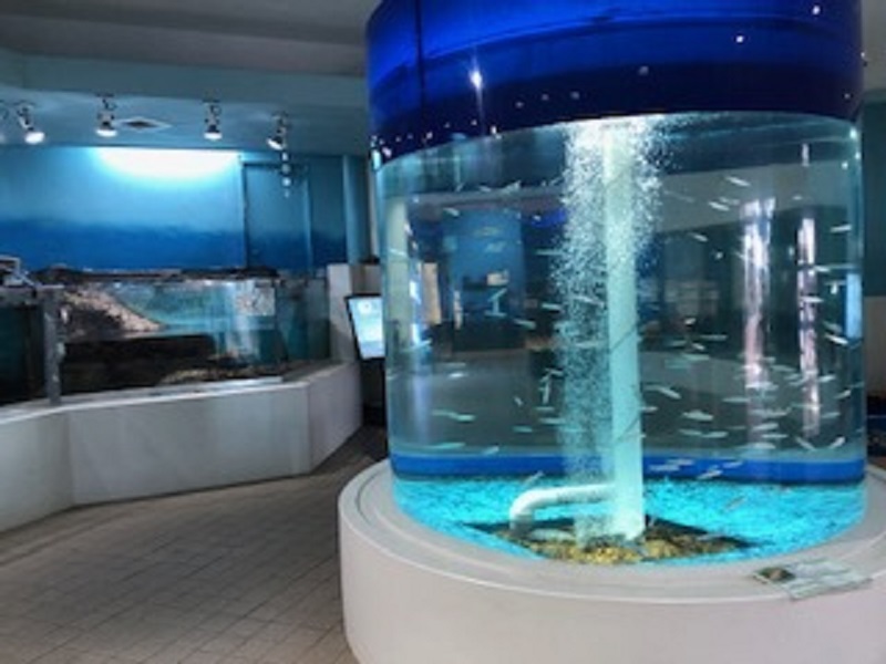 かすみがうら市水族館