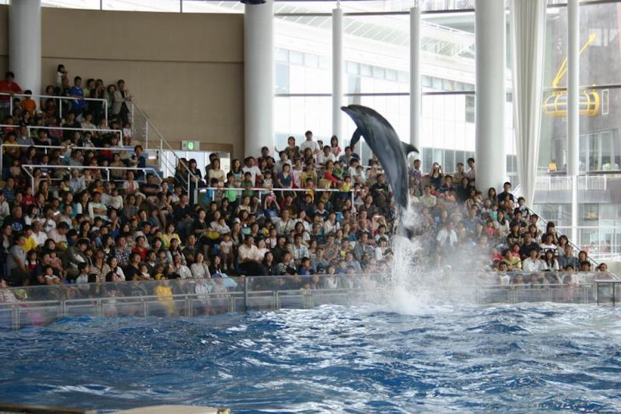 アクアワールド茨城県大洗水族館