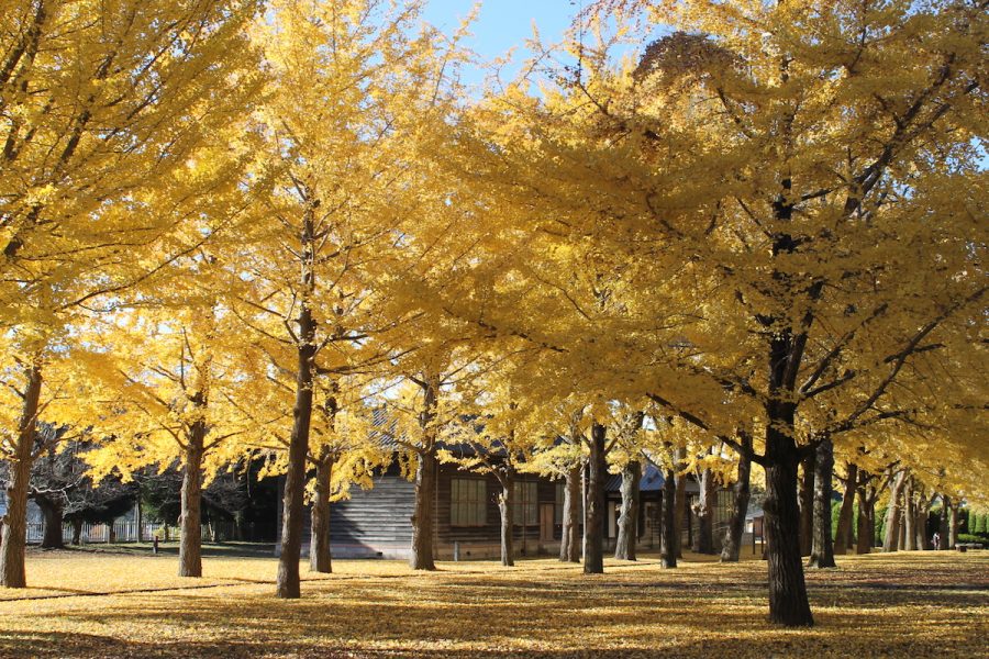 茨城県立歴史館