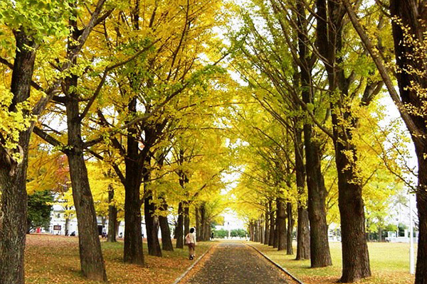 茨城県立歴史館