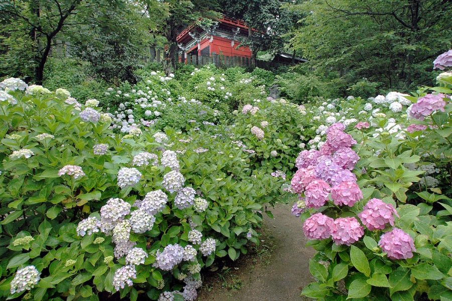 雨引観音