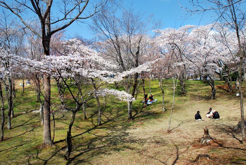 磯部桜川公園