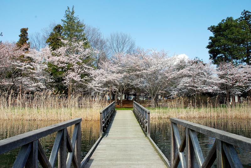 上野沼やすらぎの里キャンプ場