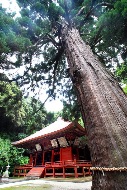 富谷観音 小山寺