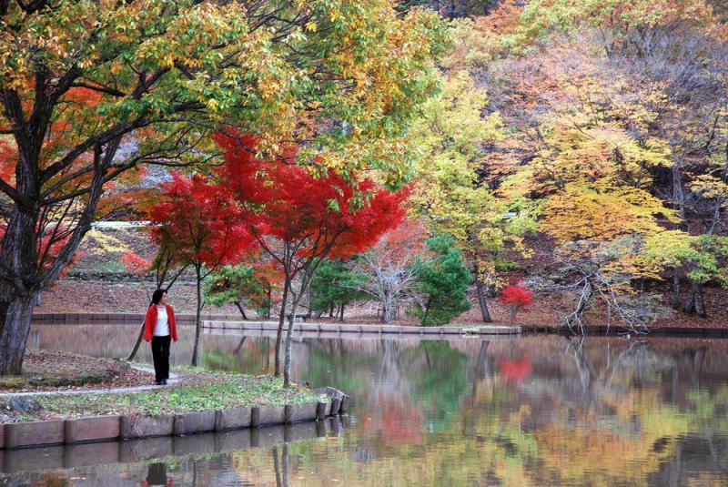 北山公園