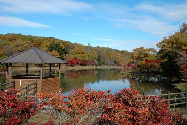 北山公園