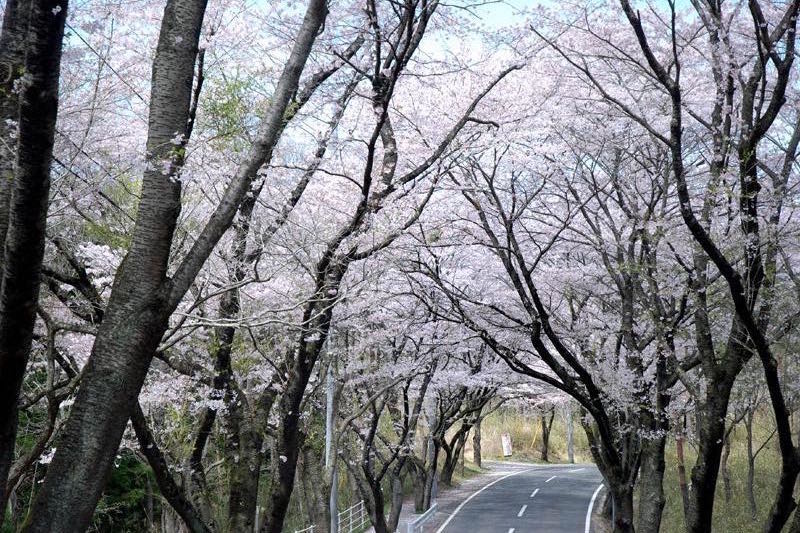 北山公園