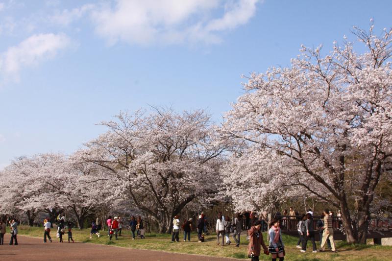 福岡堰