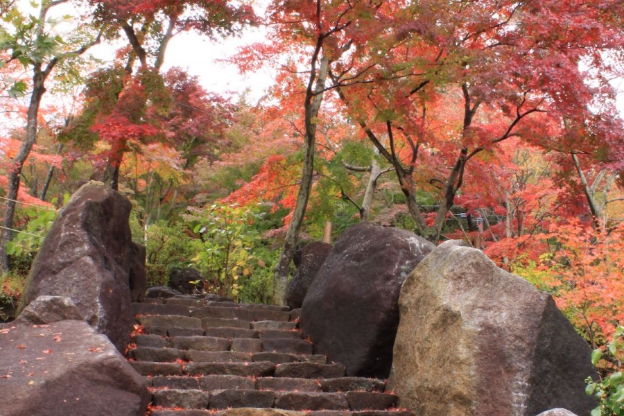 筑波山