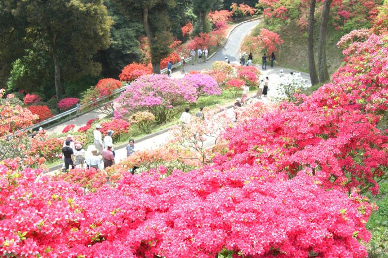 笠間つつじ公園