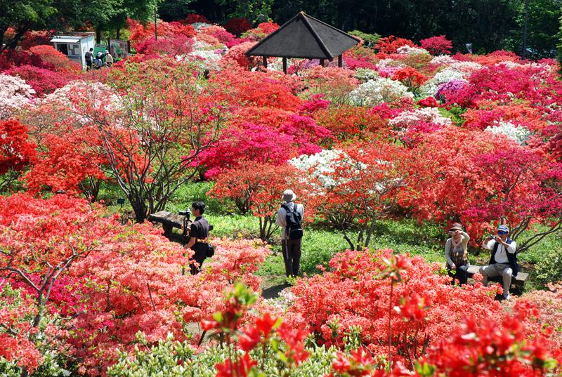 笠間つつじ公園