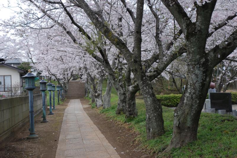 中館観音寺