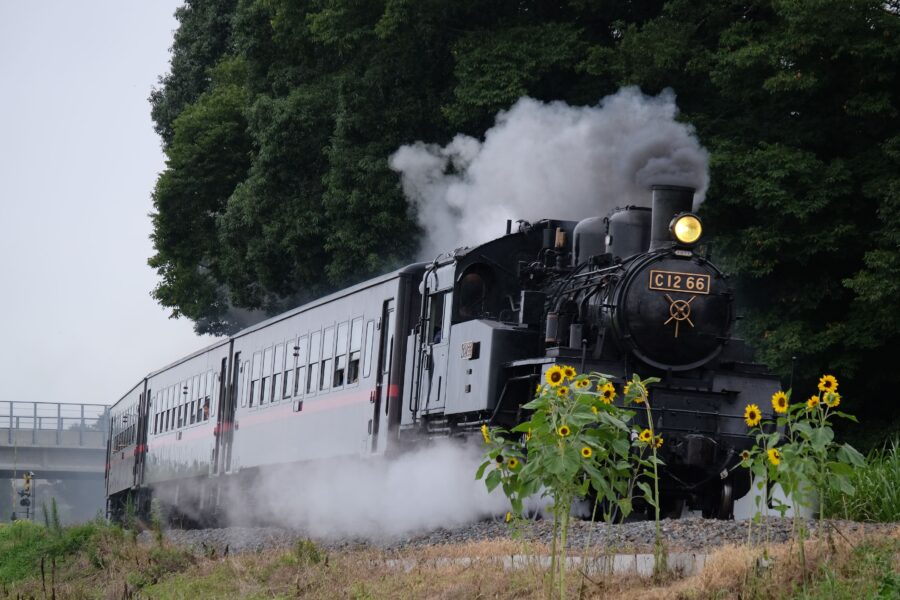 真岡鐵道SL列車