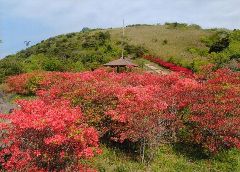 つつじケ丘公園