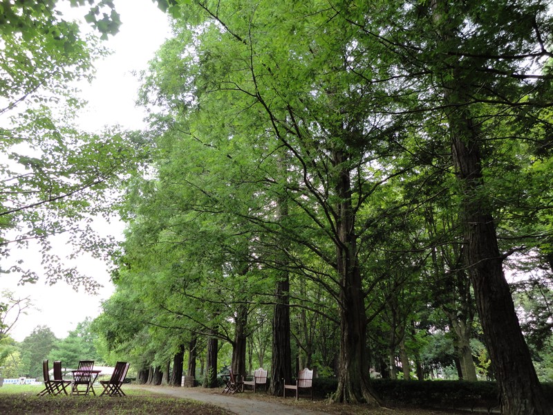 国立科学博物館 筑波実験植物園(つくば植物園)