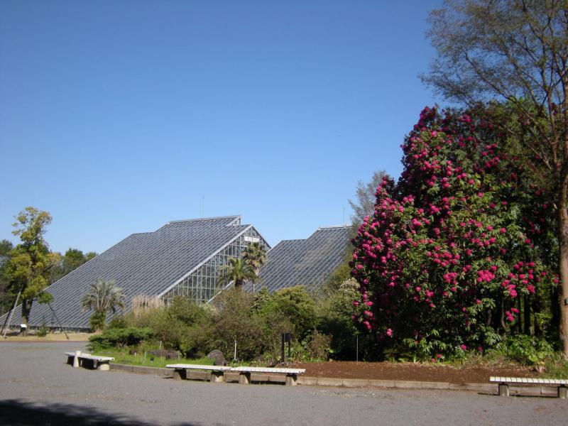 国立科学博物館 筑波実験植物園(つくば植物園)