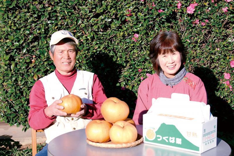 塚本梨園