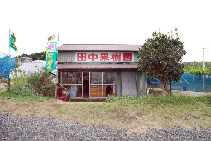 田中果樹園(行方市)