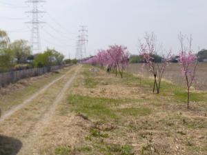 利根親水公園