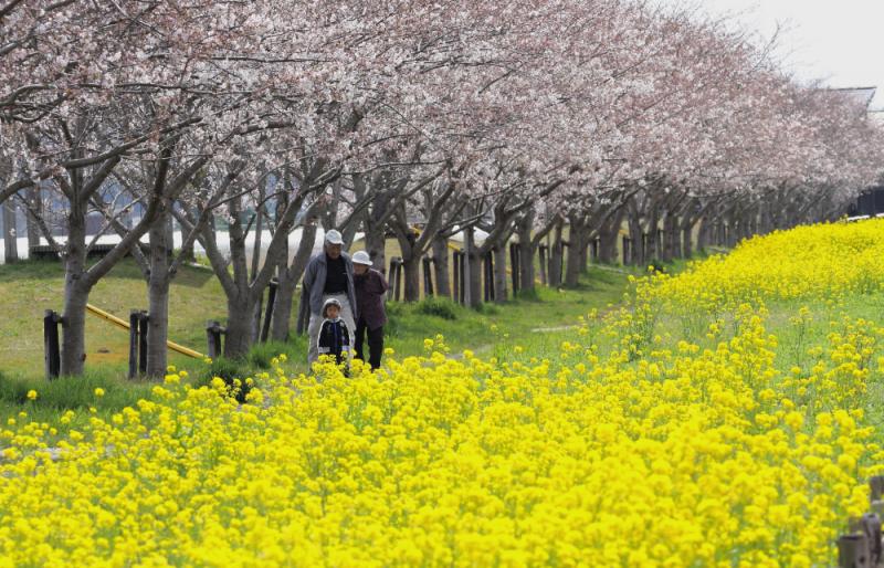 安塚公園