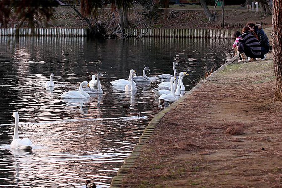 大島公園