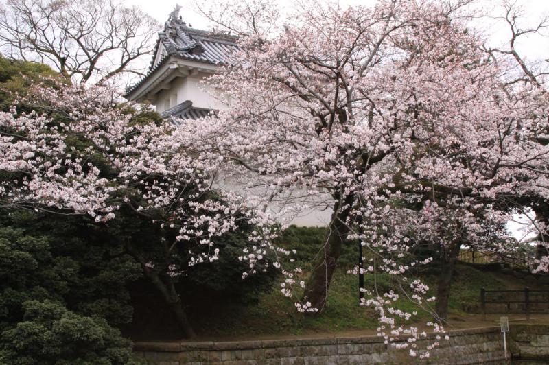 亀城公園