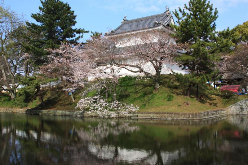 亀城公園