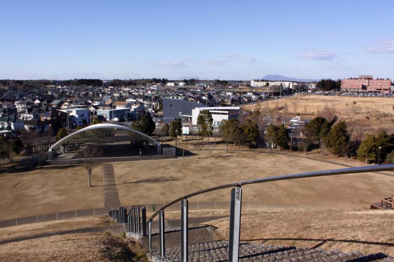 龍ケ岡公園