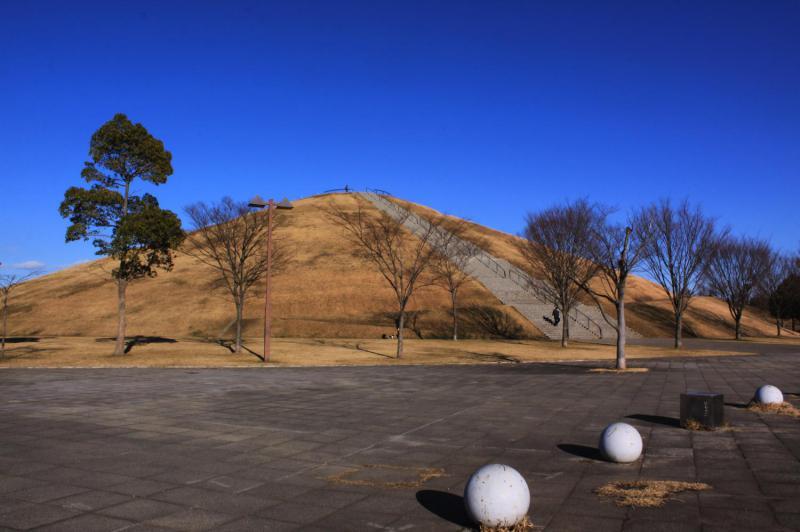 龍ケ岡公園