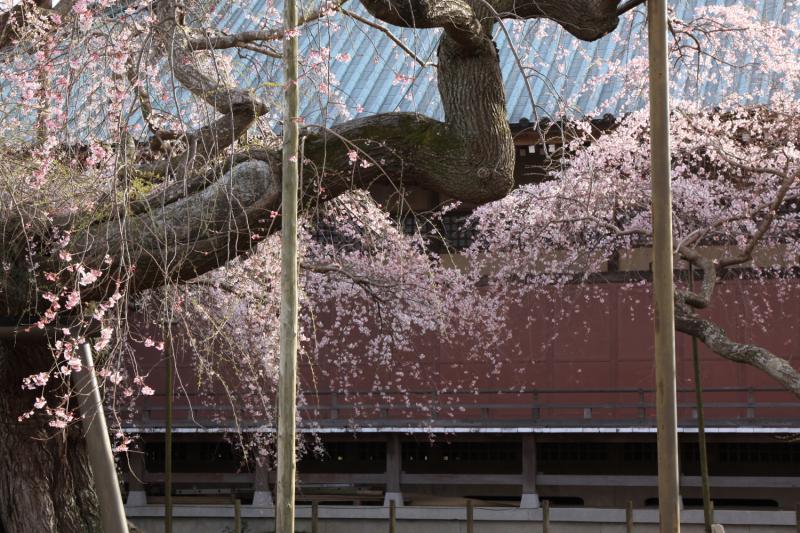 般若院