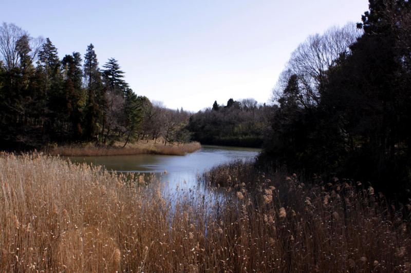 蛇沼公園