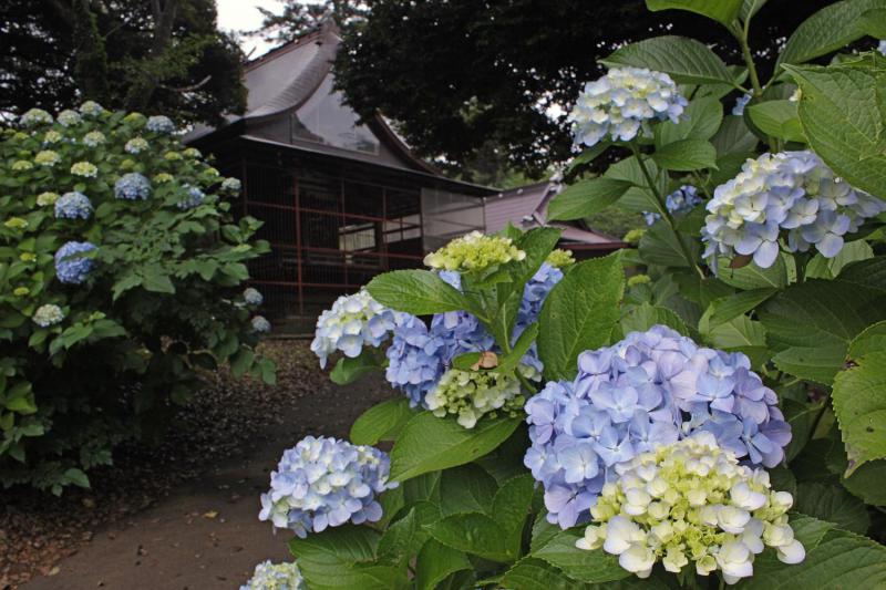 愛宕神社