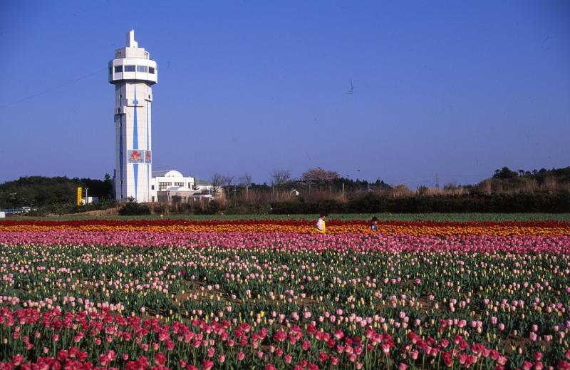 潮騒はまなす公園