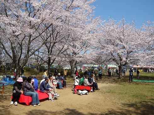 鹿島城山公園