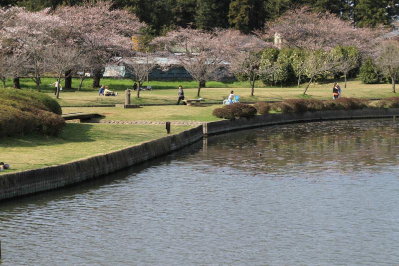 柏原池公園