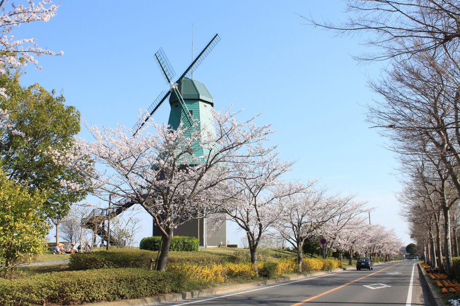 霞ケ浦総合公園