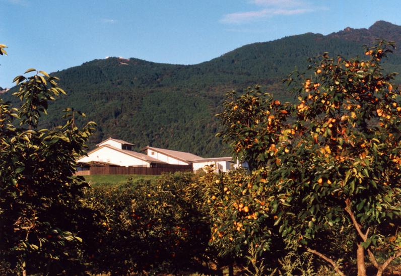 岡本果樹園