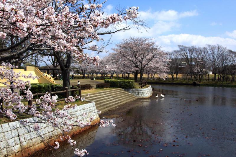 乙戸沼公園