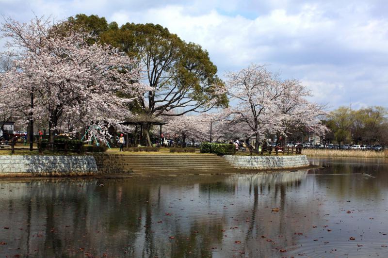 乙戸沼公園