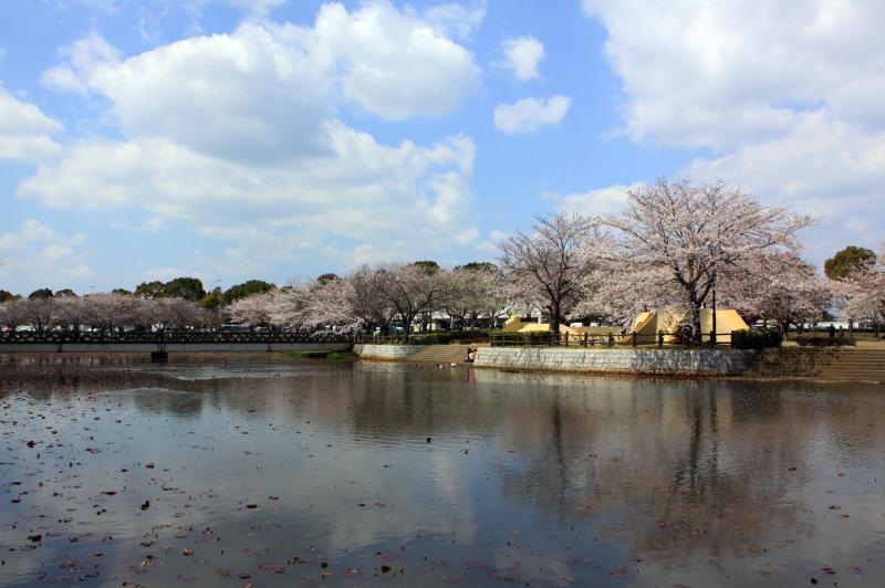 乙戸沼公園