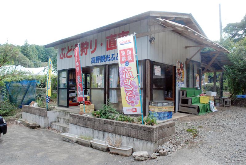 高野観光ぶどう園