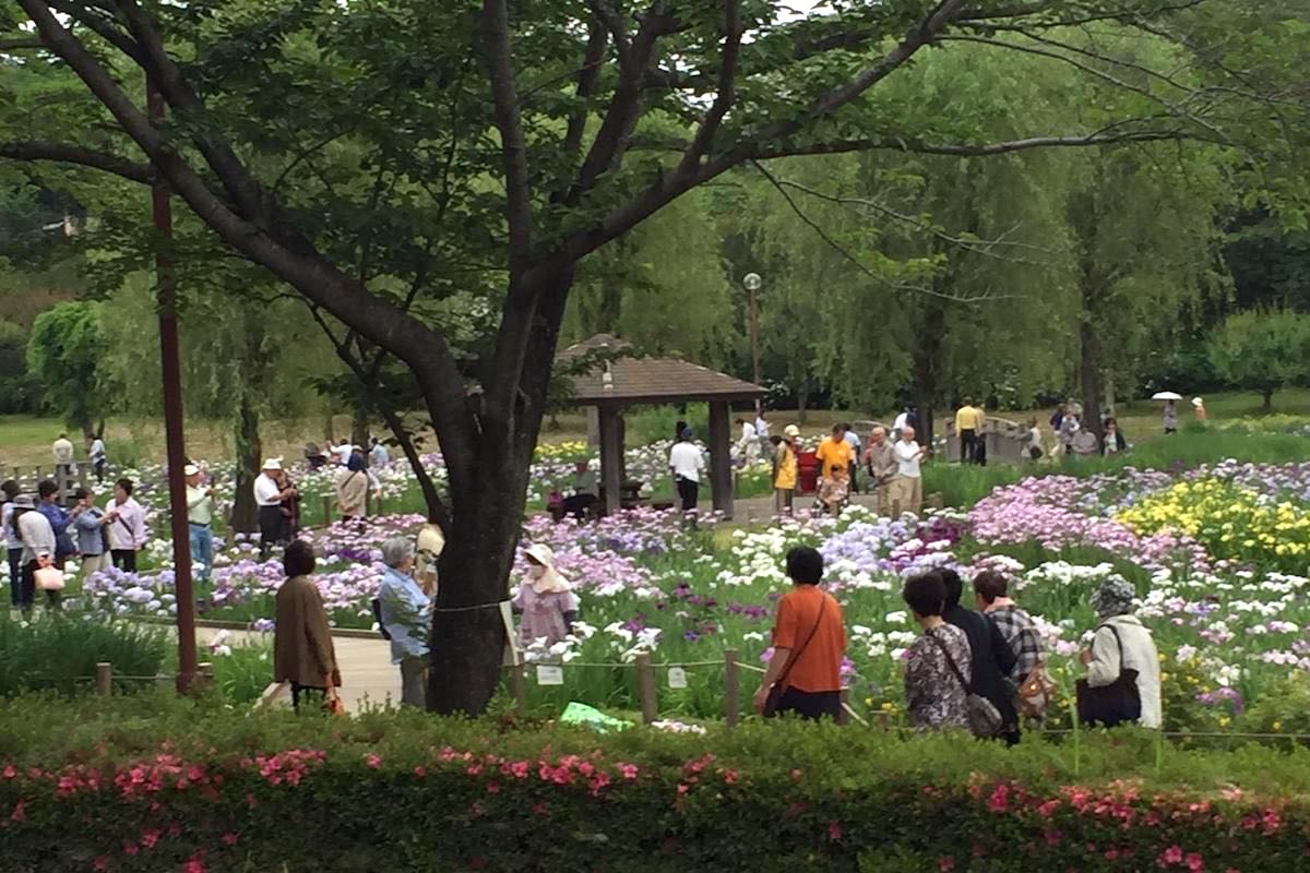 四季の里公園