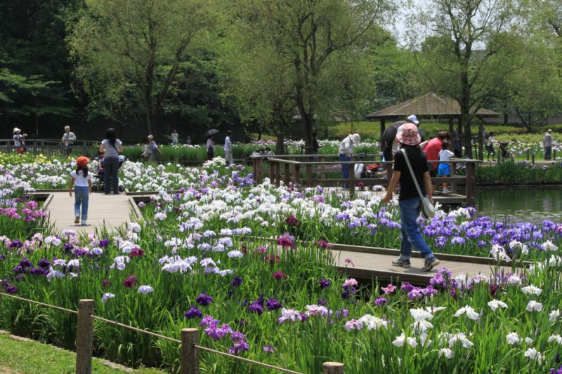 四季の里公園