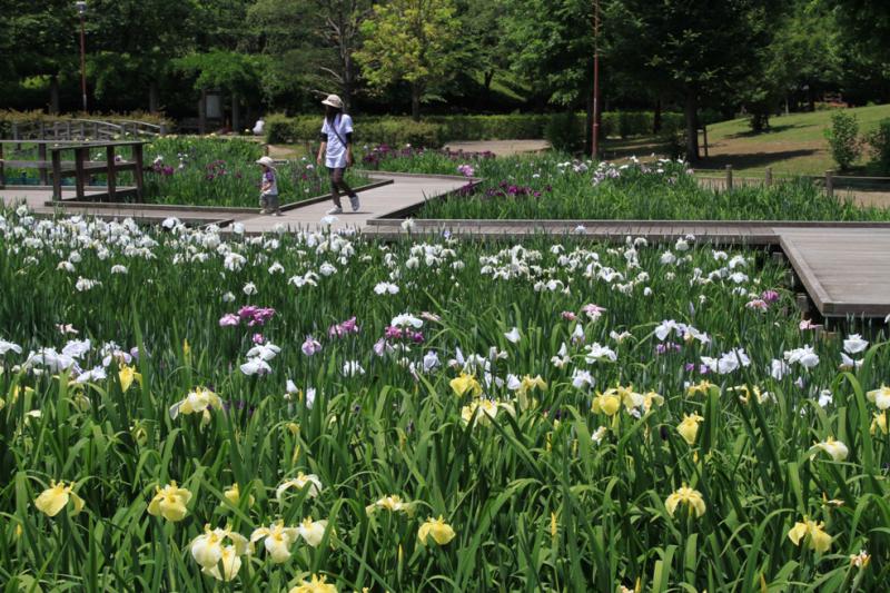 四季の里公園