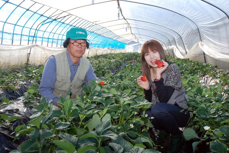 丸坂いちご園(かやぶき民家)