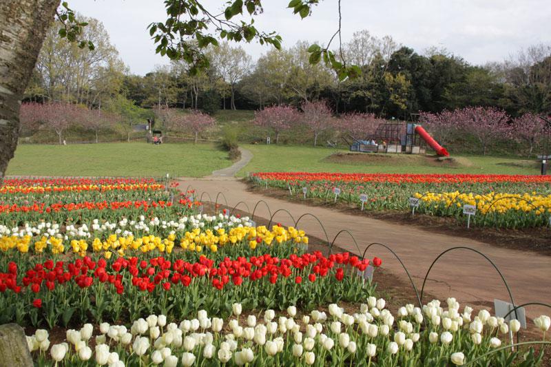 木原城址城山公園