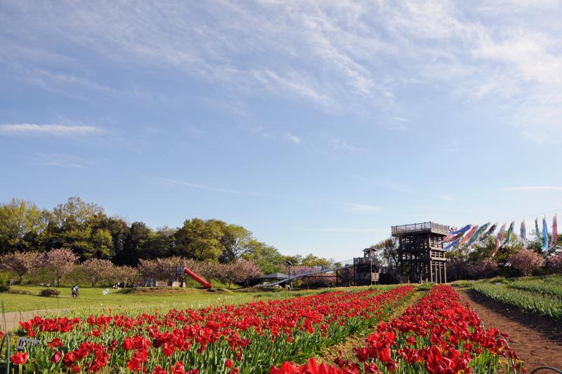 木原城址城山公園