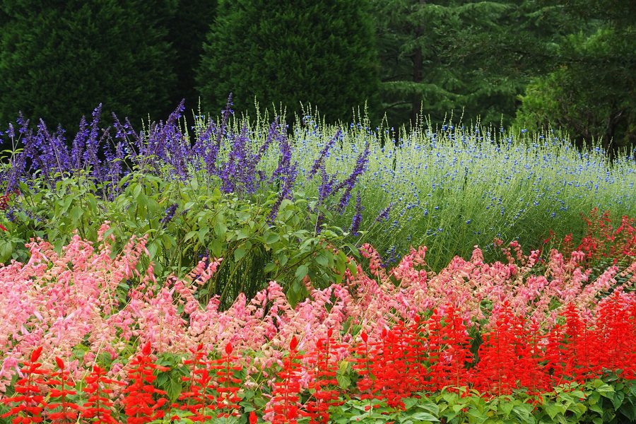 水戸市植物公園