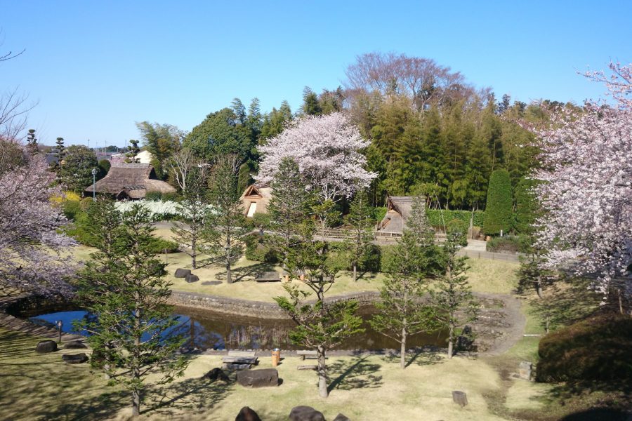 水戸市埋蔵文化財センター(大串貝塚ふれあい公園)